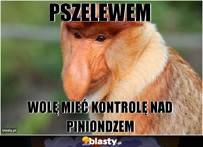 PSZELEWEM