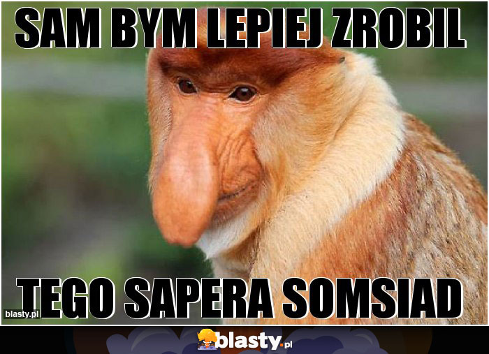 Sam bym lepiej zrobil