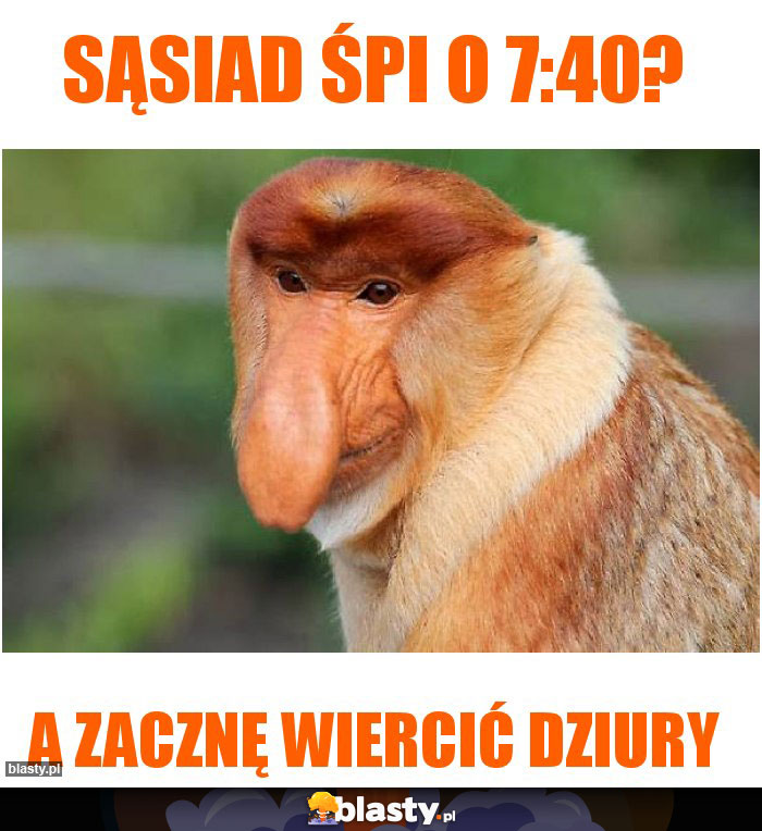 Sąsiad śpi o 7:40?