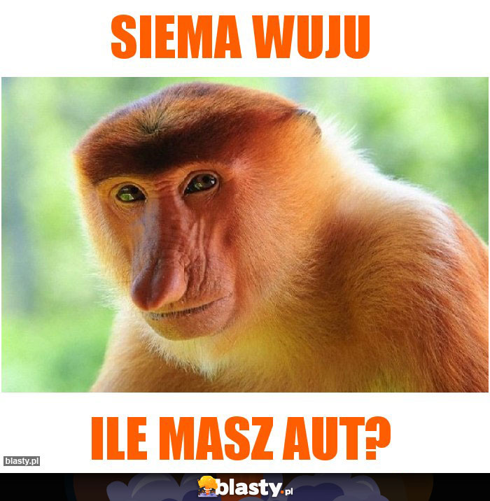Siema wuju