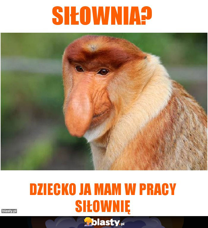 Siłownia?