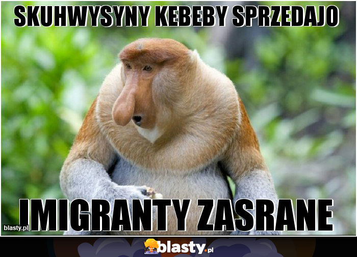Skuhwysyny kebeby sprzedajo
