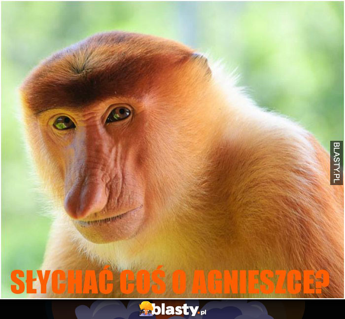 Słychać coś o Agnieszce?