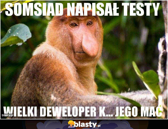 somsiad napisał testy