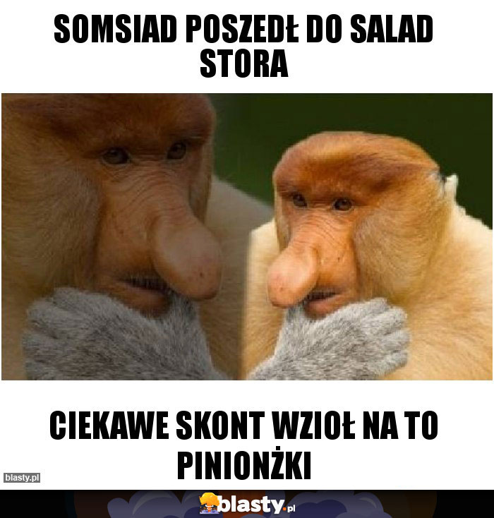 Somsiad poszedł do Salad stora