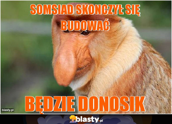 Somsiad skonczył się budować