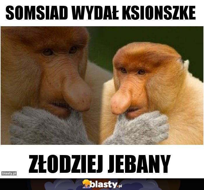 SOMSIAD WYDAŁ KSIONSZKE