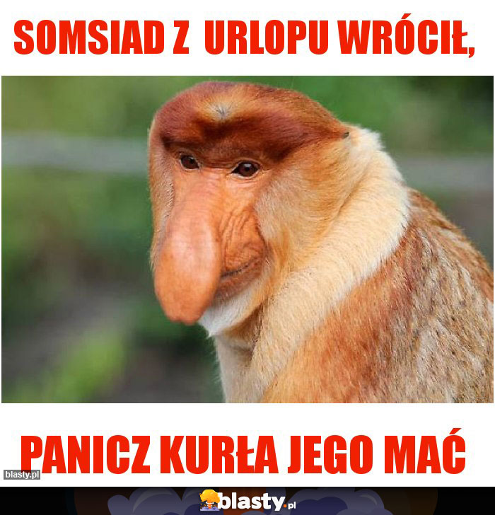 Somsiad z  urlopu wrócił,