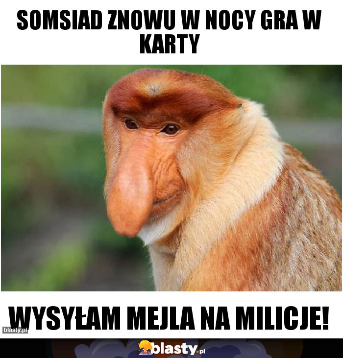 SOMSIAD ZNOWU W NOCY GRA W KARTY