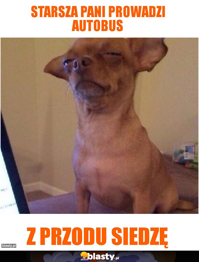 Starsza Pani prowadzi autobus