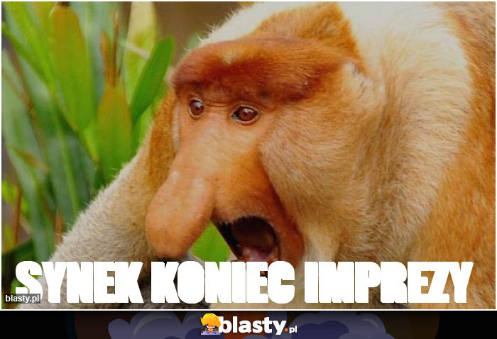 Synek koniec imprezy