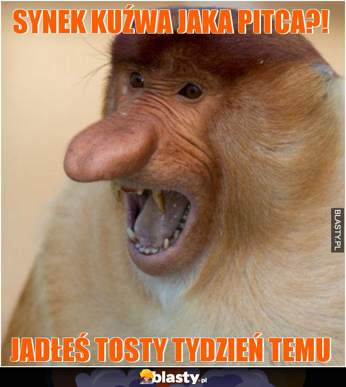 synek kuźwa jaka pitca?!