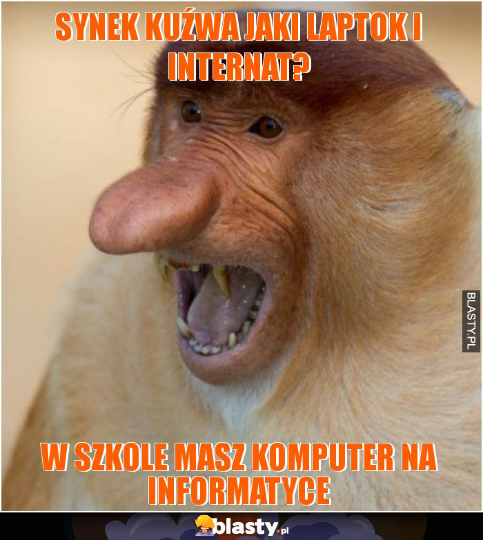 synek kuźwa jaki laptok i internat?