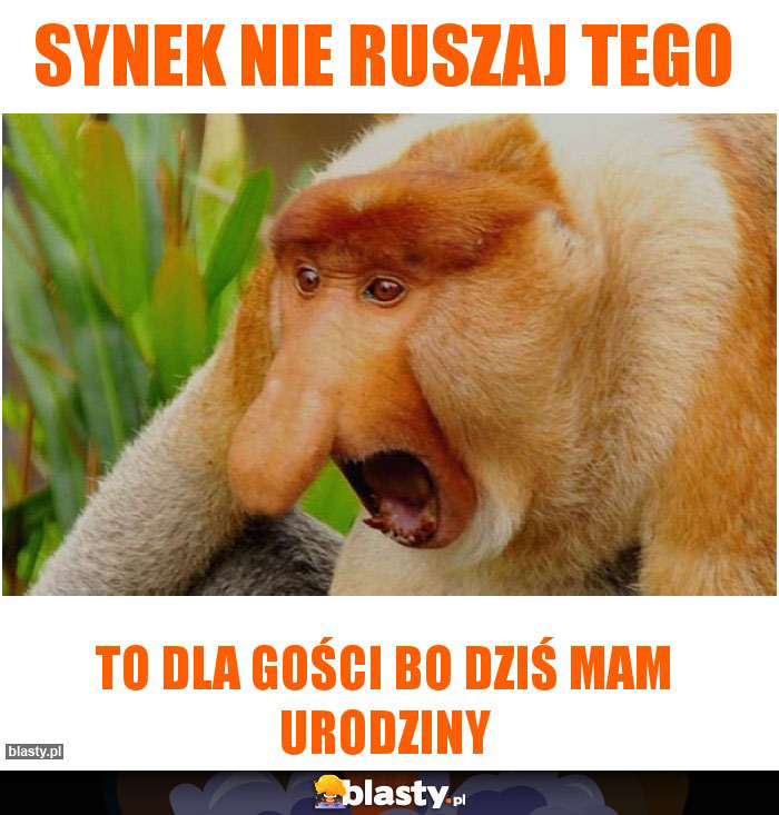 SYNEK NIE RUSZAJ TEGO