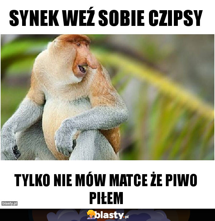 Synek weź sobie czipsy