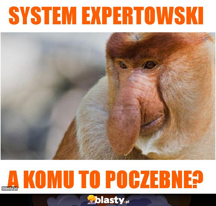 SYSTEM EXPERTOWSKI