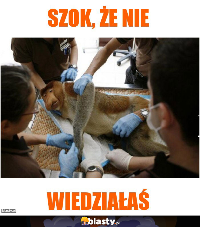 Szok, że nie