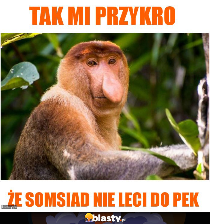 tak mi przykro
