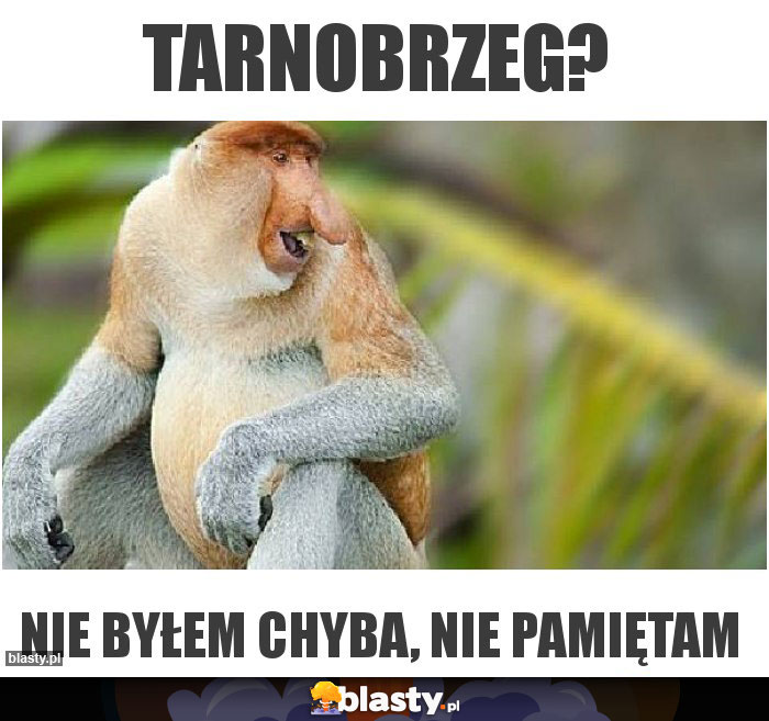 Tarnobrzeg?
