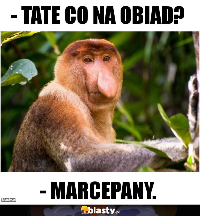 - Tate co na obiad?