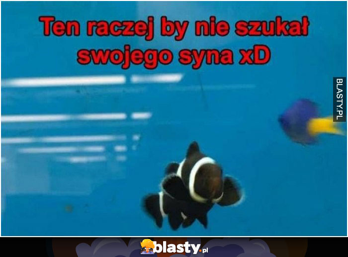 Ten raczej by nie szukał swojego syna