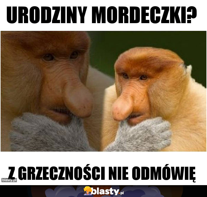 URODZINY MORDECZKI?