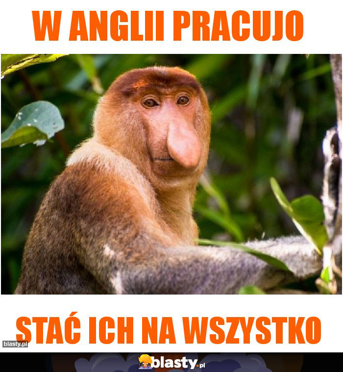 W Anglii pracujo