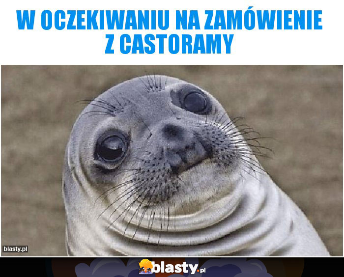 W OCZEKIWANIU NA ZAMÓWIENIE Z CASTORAMY