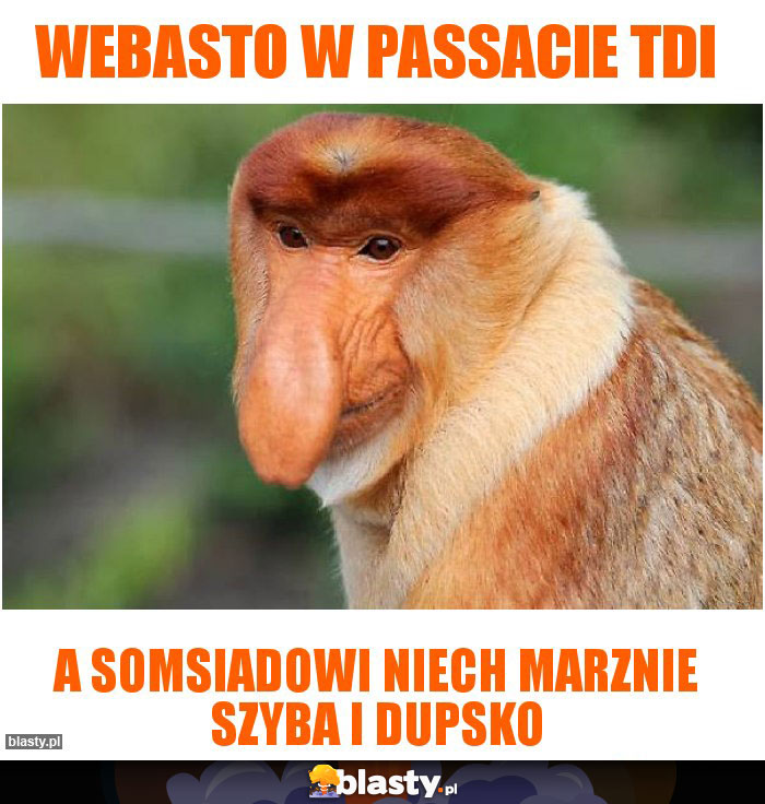 Webasto w passacie tdi
