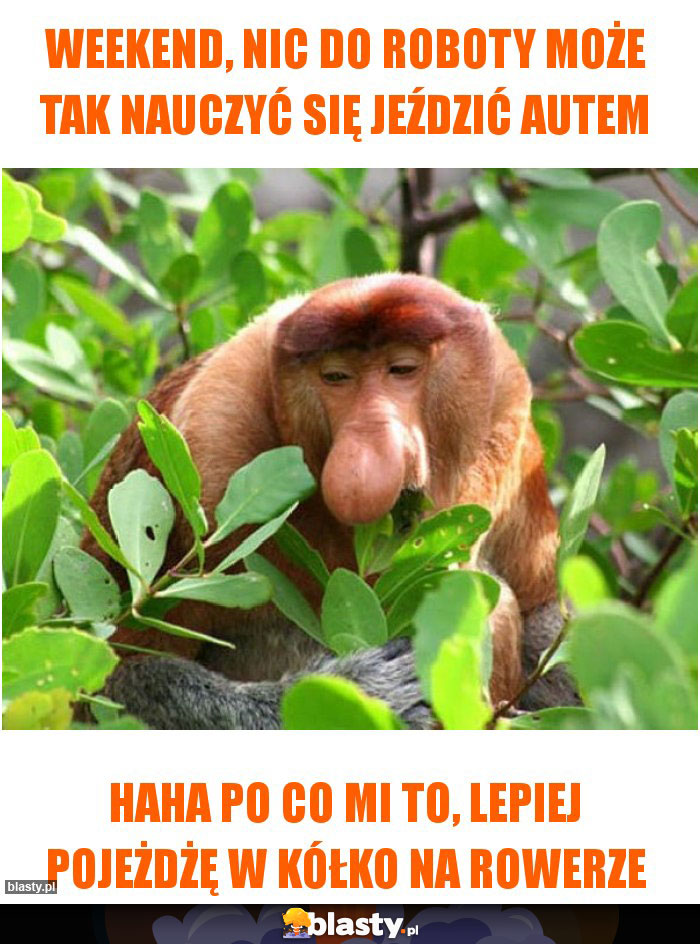 Weekend, nic do roboty może tak nauczyć się jeździć autem