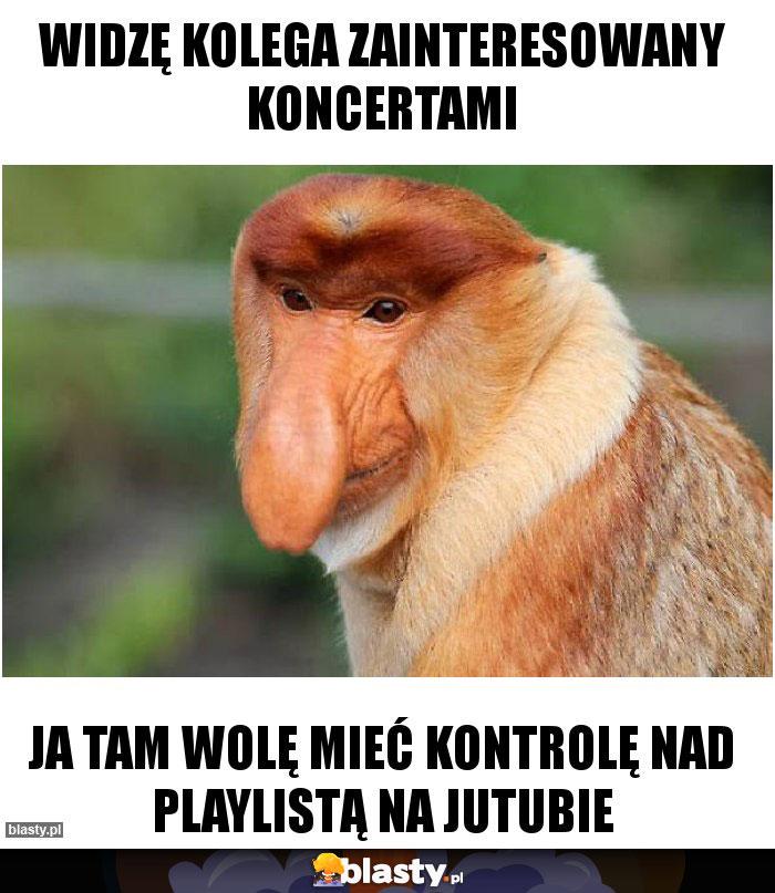 Widzę kolega zainteresowany koncertami