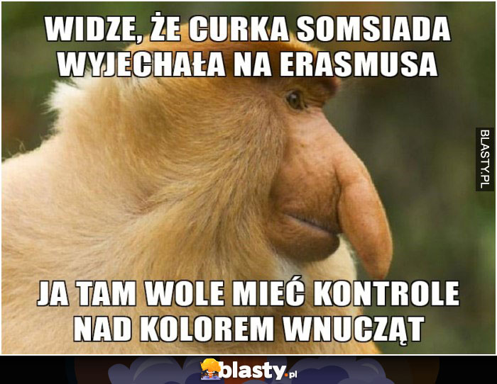 Widzę,  że curka somsiada wyjechala na erasmus