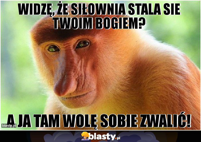widzę, że siłownia stala sie Twoim bogiem?