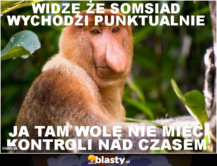 Widzę że somsiad wychodzi punktualnie