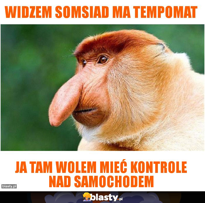 Widzem somsiad ma tempomat