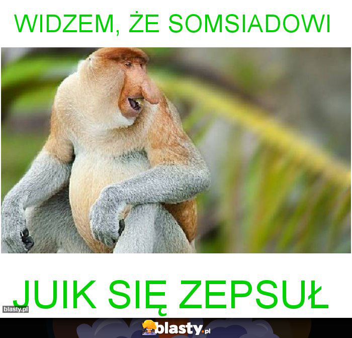 Widzem, że somsiadowi