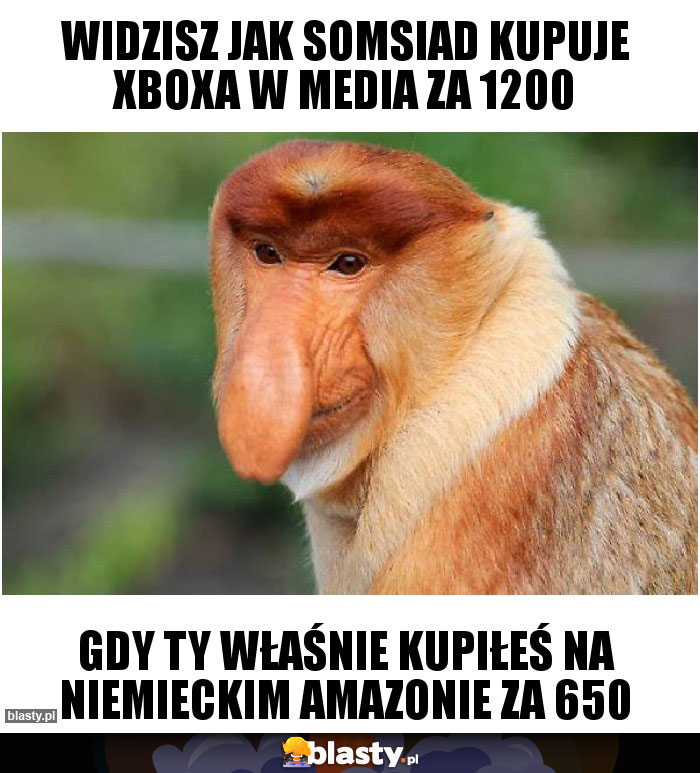 Widzisz jak somsiad kupuje Xboxa w media za 1200