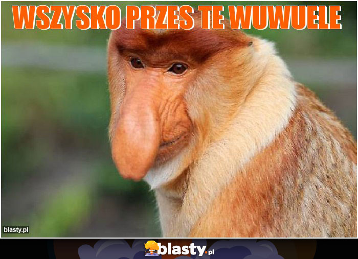 wszysko przes te wuwuele