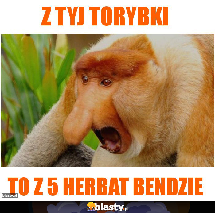 Z TYJ TORYBKI