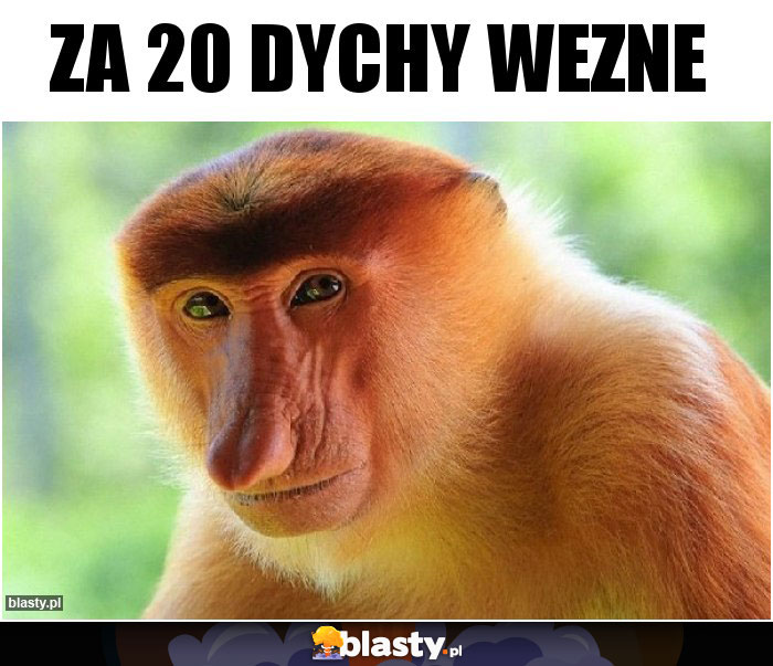 Za 20 dychy wezne