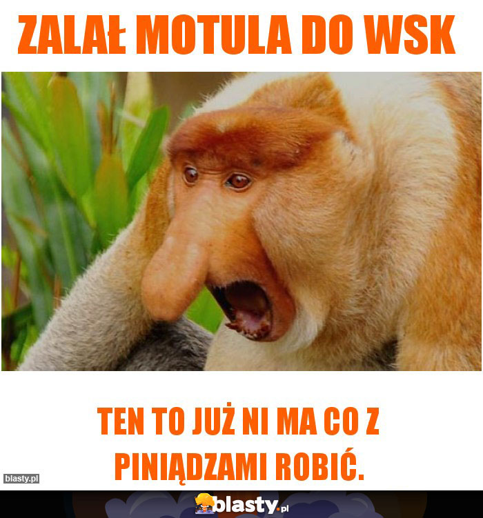 Zalał Motula do WSK