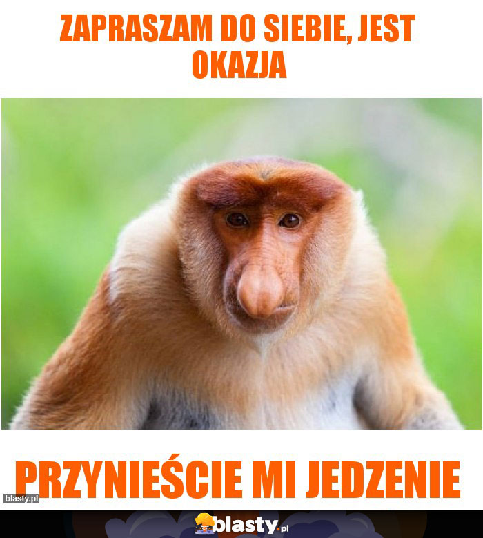 Zapraszam do siebie, jest okazja
