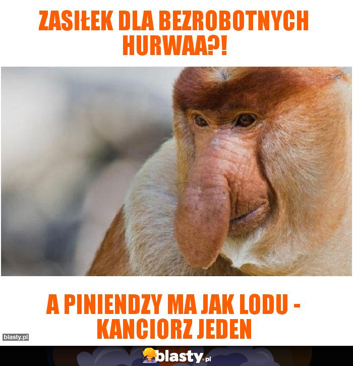 Zasiłek dla bezrobotnych hurwaa?!