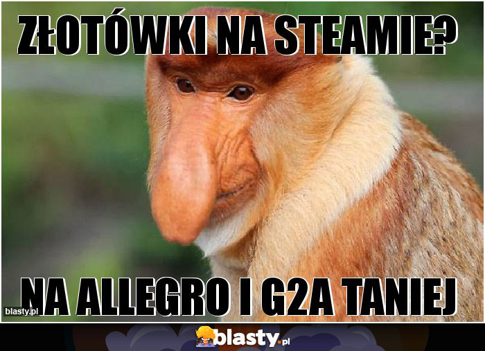 Złotówki na steamie?