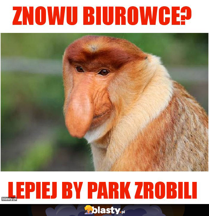 Znowu biurowce?