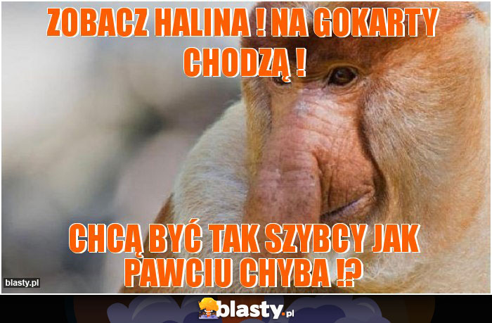Zobacz Halina ! Na gokarty chodzą !