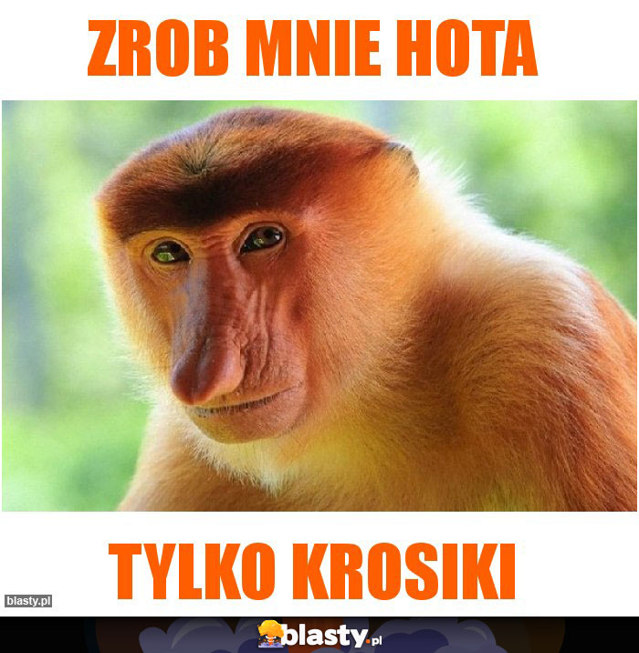 zrob mnie hota