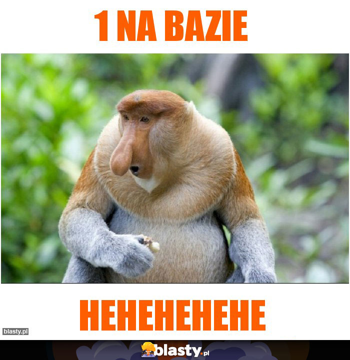 1 NA BAZIE