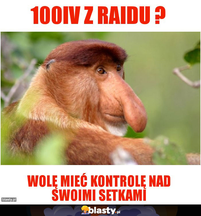 100IV z RAIDu ?