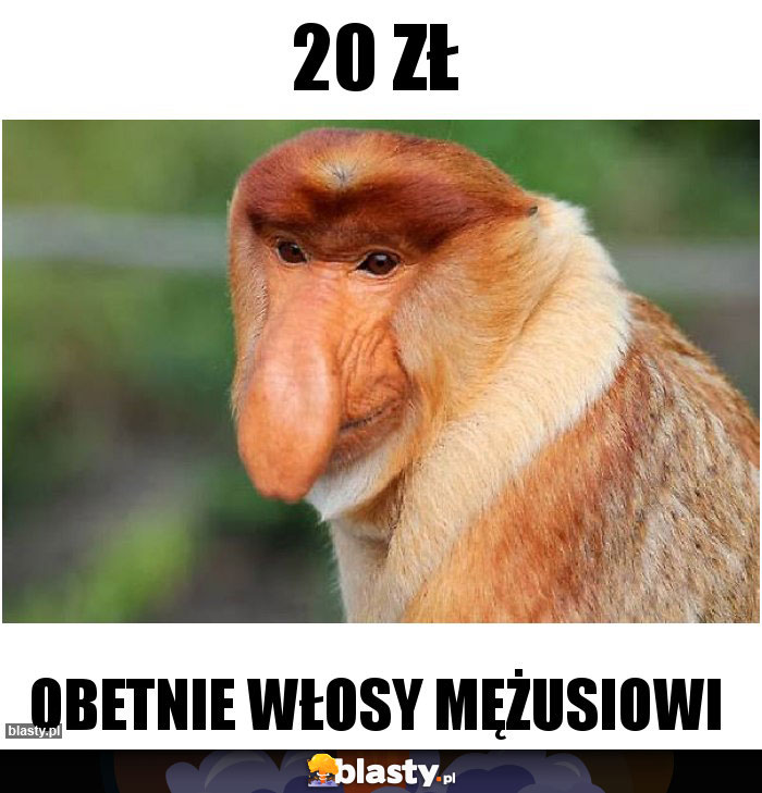 20 ZŁ